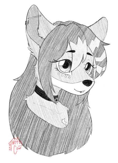 clean pencil style sketch